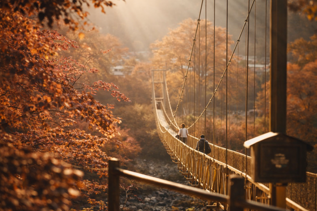 Puente Colgante — cruzar el valle desde el aire